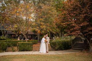 Beautiful autumn garden setting with trees and fall foliage creating a natural outdoor backdrop.