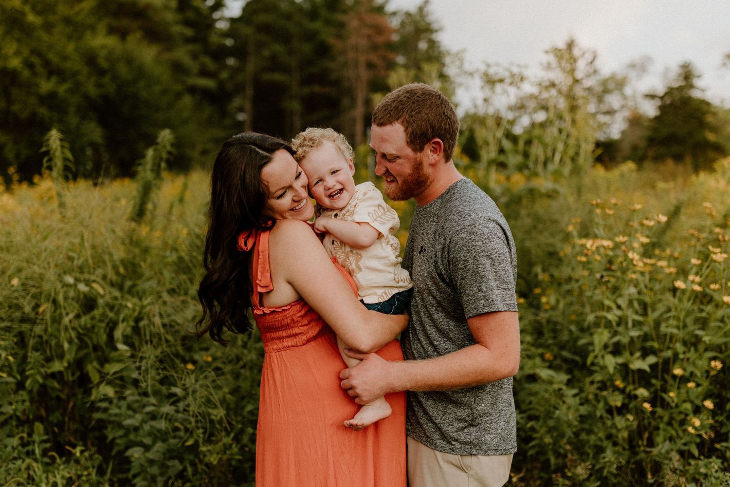 A loving family moment captured in a golden field at sunset with warm tones and natural lighting.