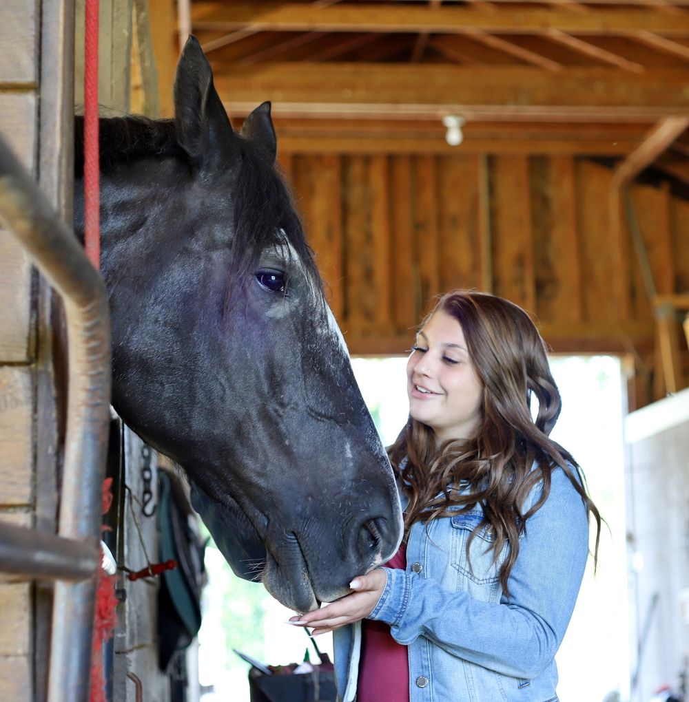 horse photoshoot alternative portrait and family photographer bergen ny