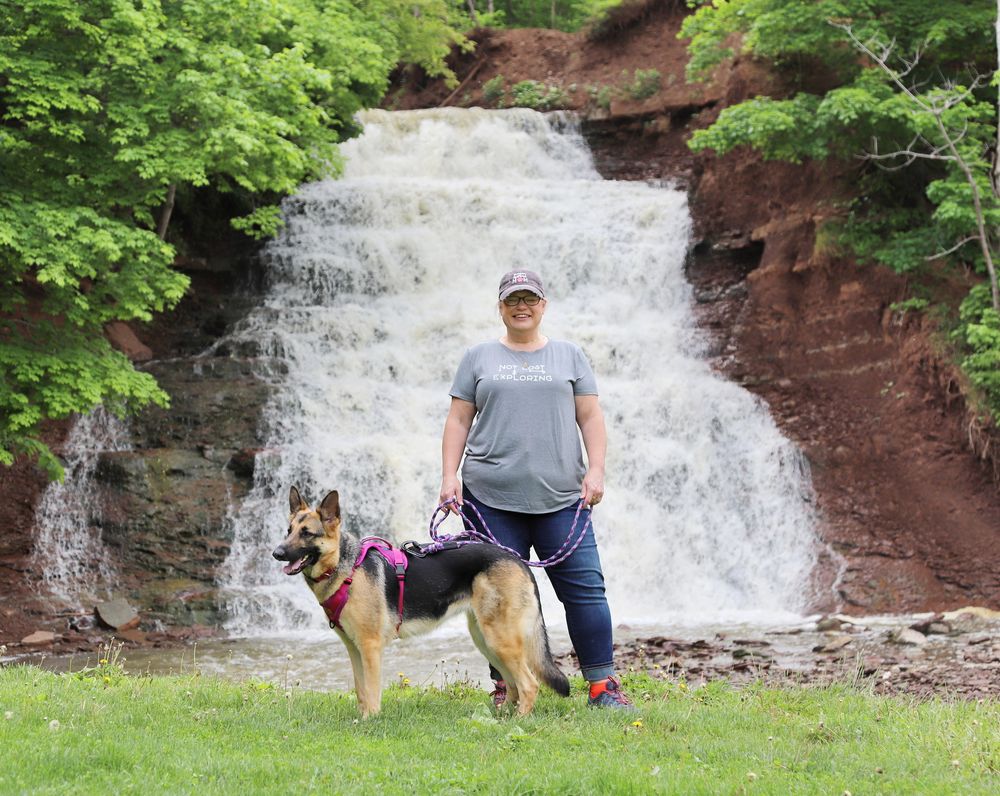 pet photos alternative portrait and family photographer bergen ny