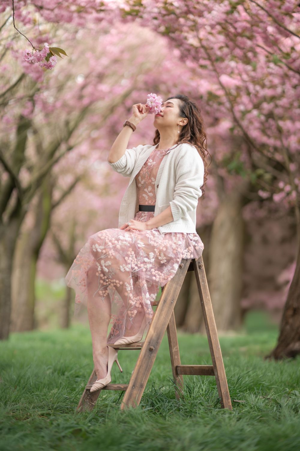 Cherry blossom in Manchester
