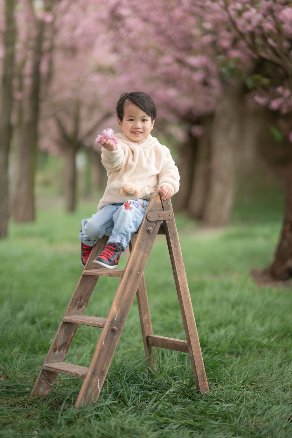 Cherry blossom photoshoot manchester