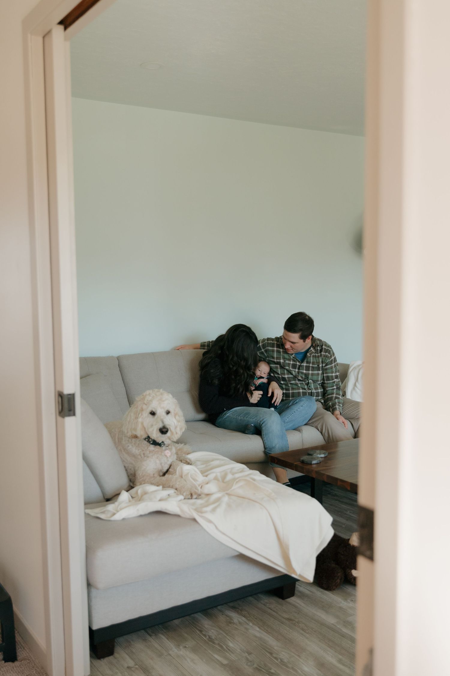A white fluffy dog sits on a gray couch with people in a cozy living room viewed through a doorway.