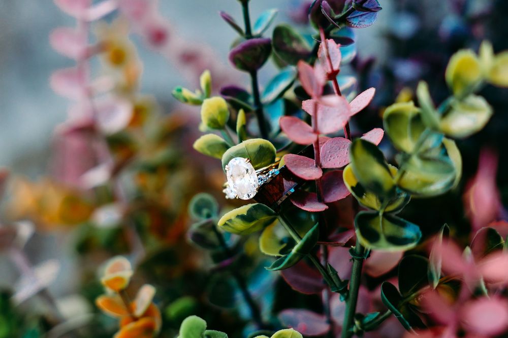Diamond engagement ring resting on colorful decorative foliage with bokeh background.