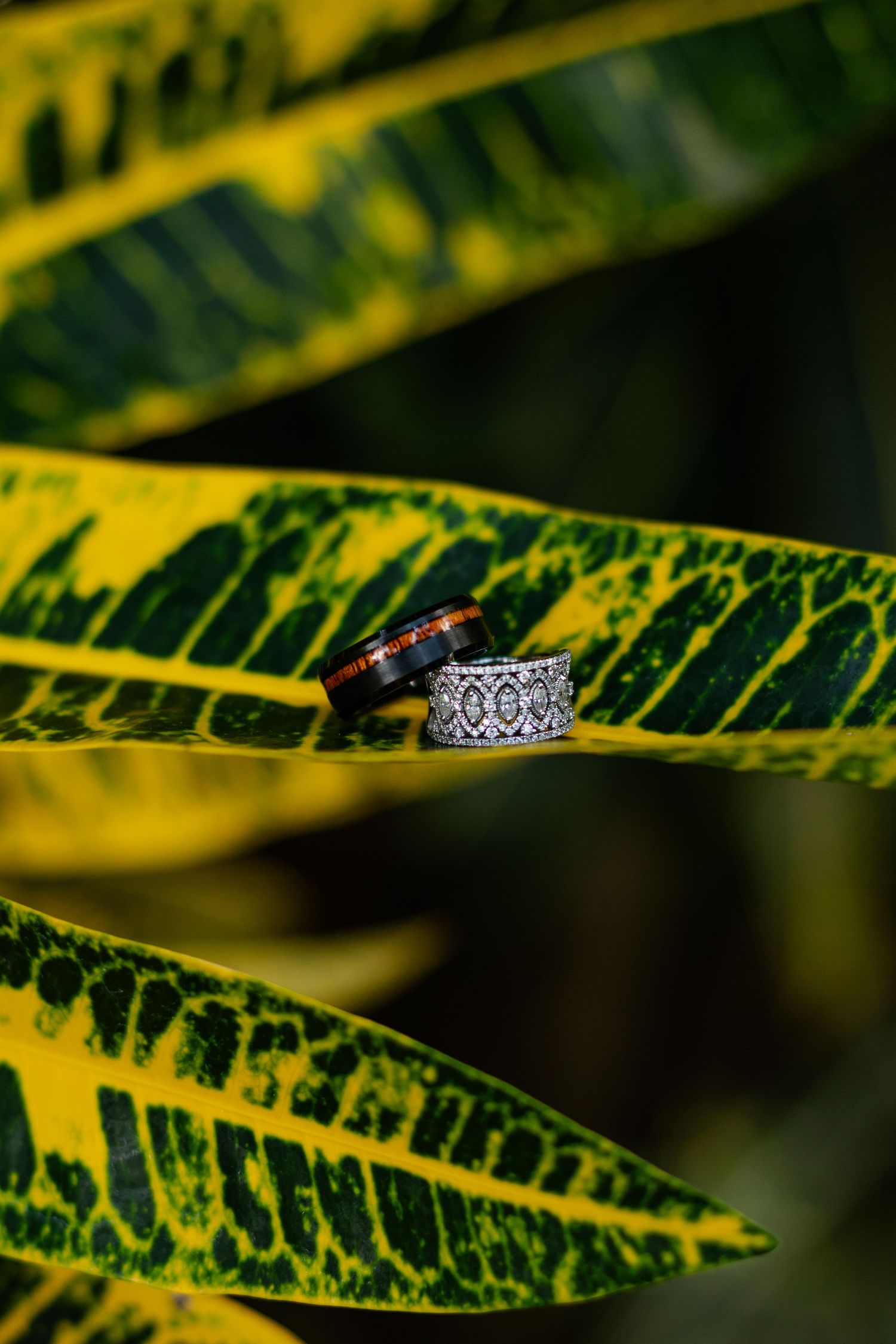 Wedding rings artistically photographed on vibrant yellow and green tropical leaves.