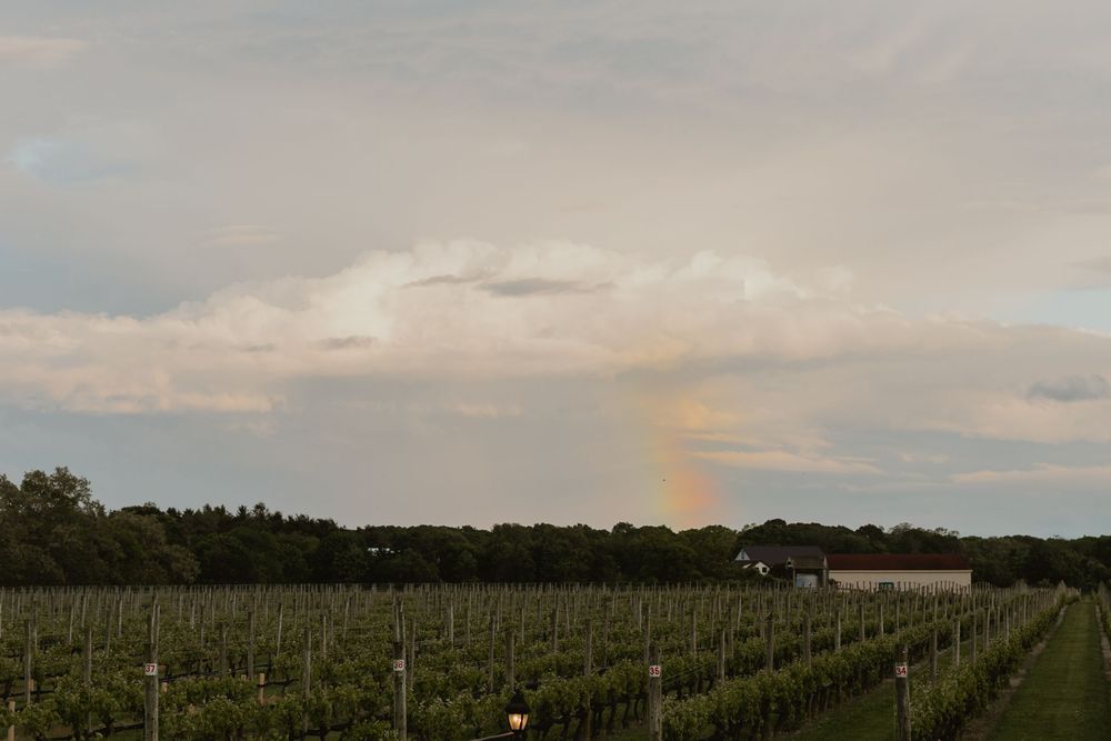Long Island Vineyard Wedding Venue
