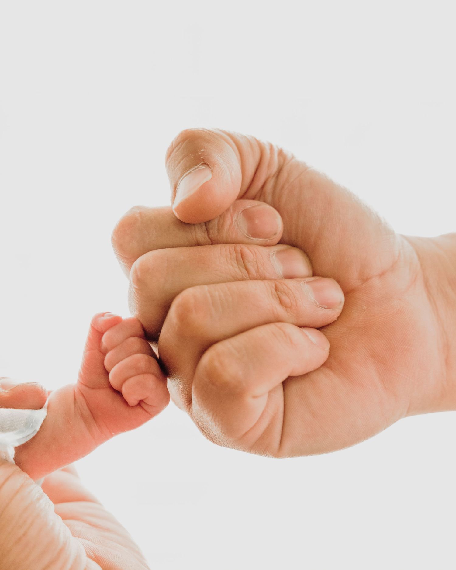 Close-up of a tiny baby's hand grasping an adult's finger against white background.