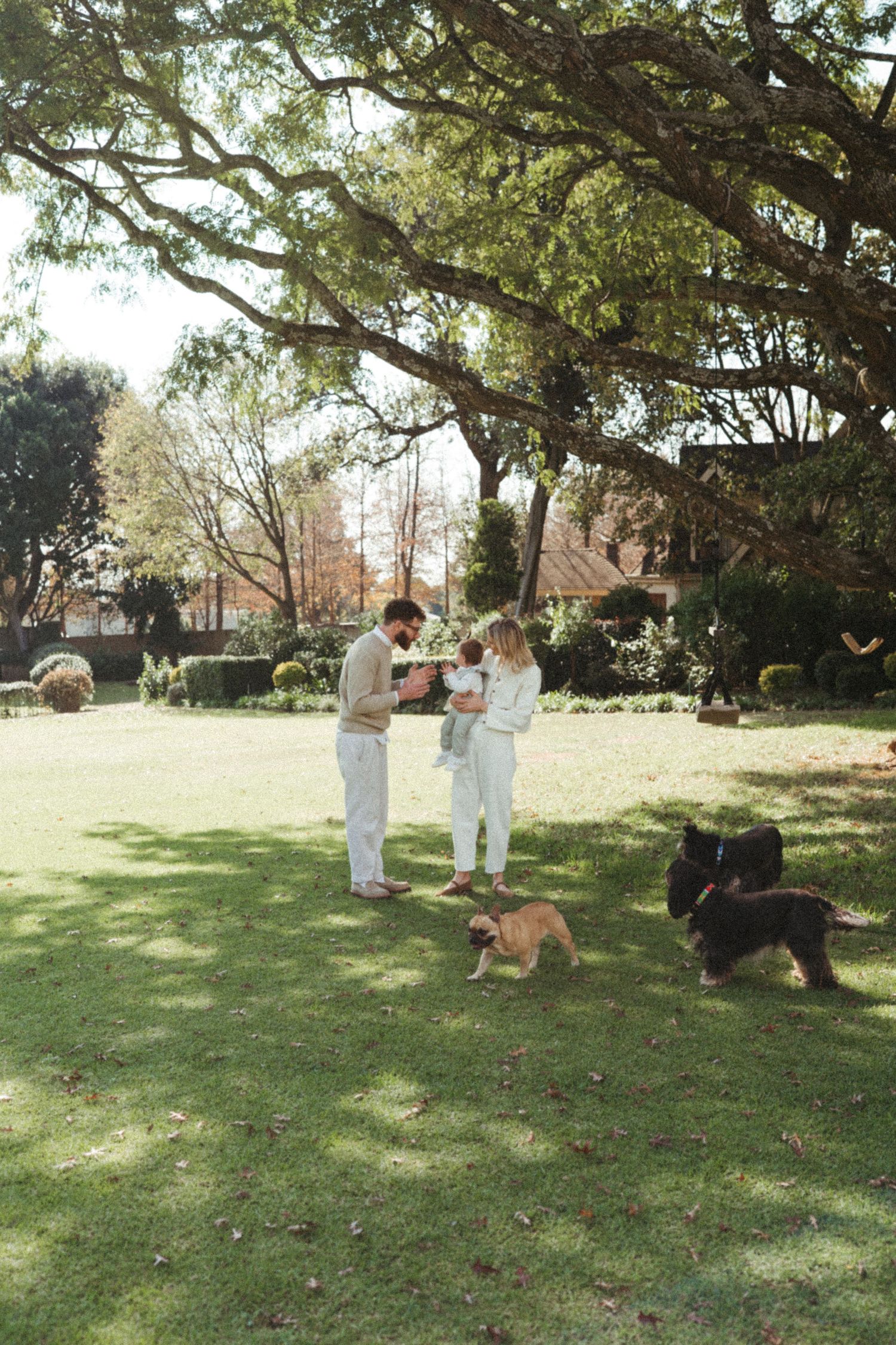 Family in white clothing playing with dogs under trees in a park setting.