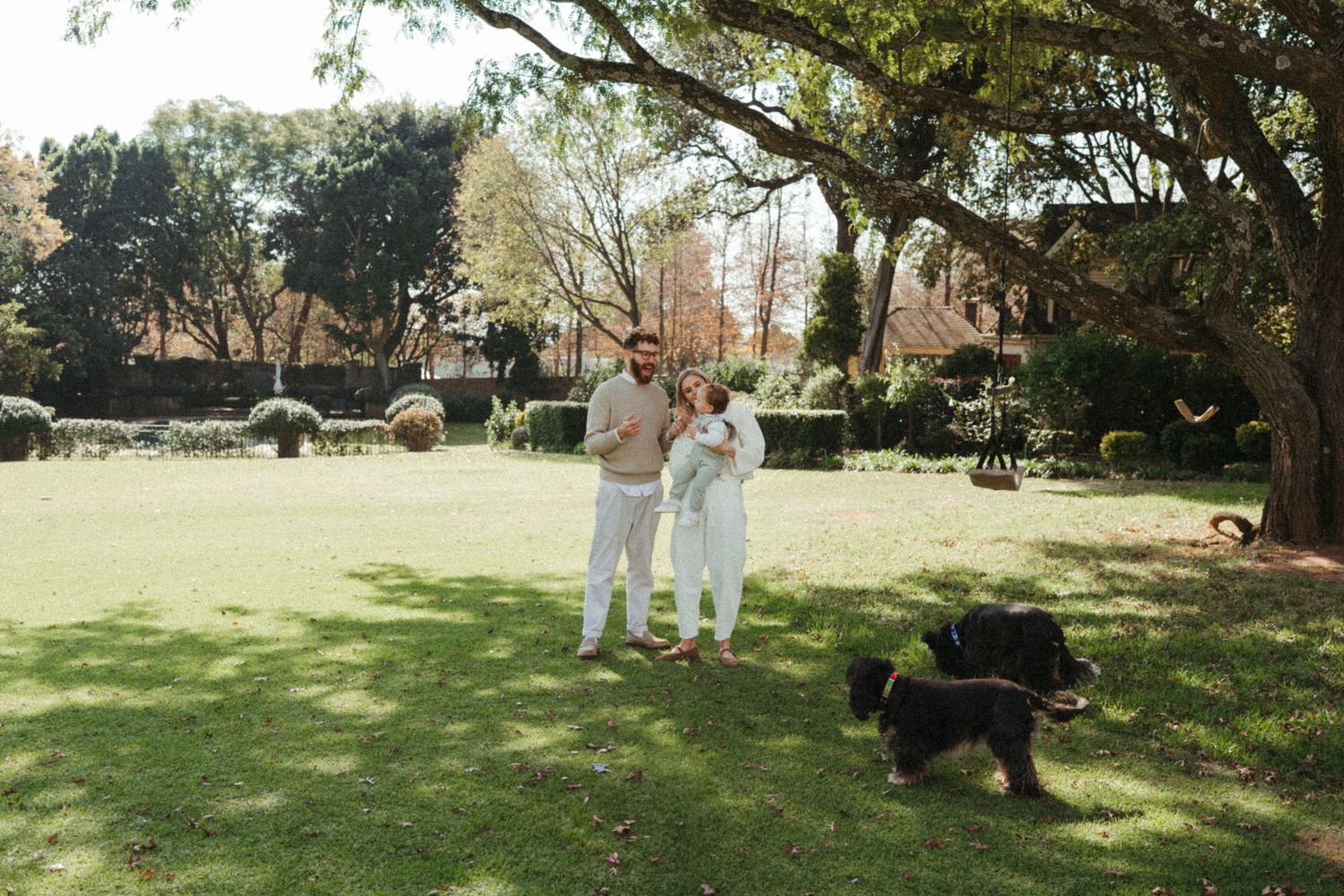 People and dogs enjoying a sunny day in a spacious green park.