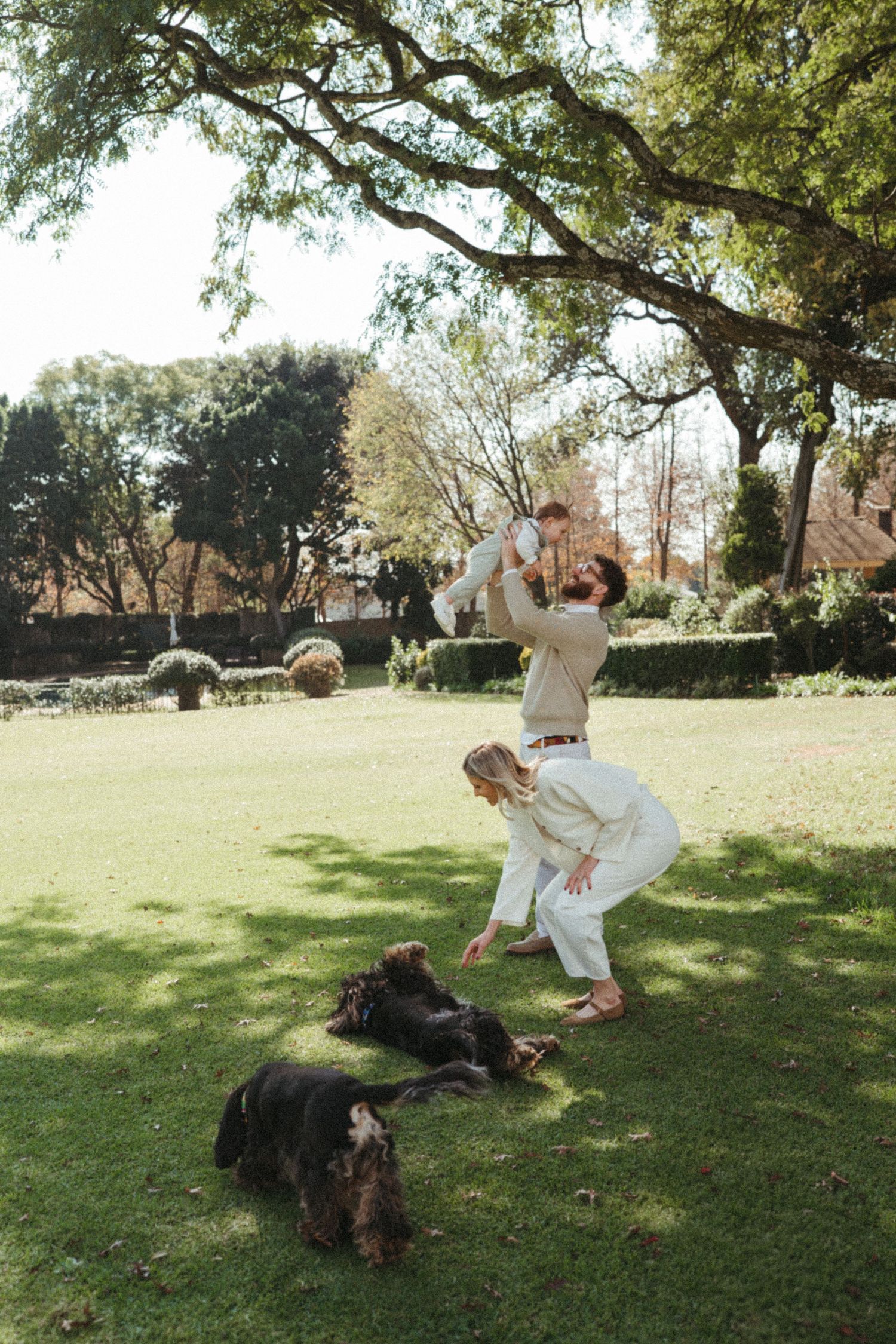 People in neutral tones playing and rolling around with a large dark dog on grass under trees.