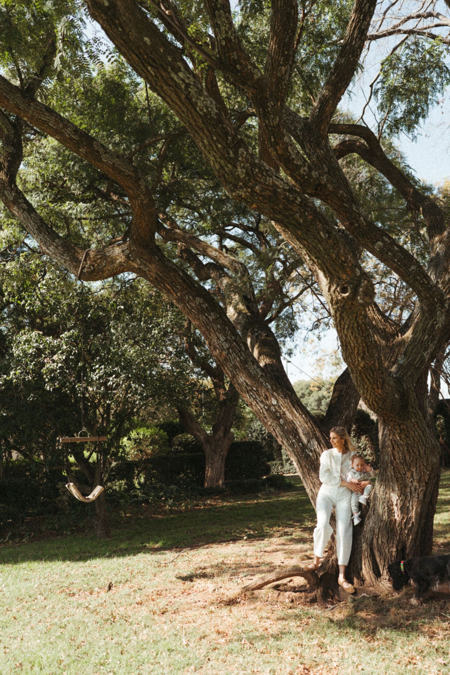 Family walking beneath large twisted tree branches in a park setting.
