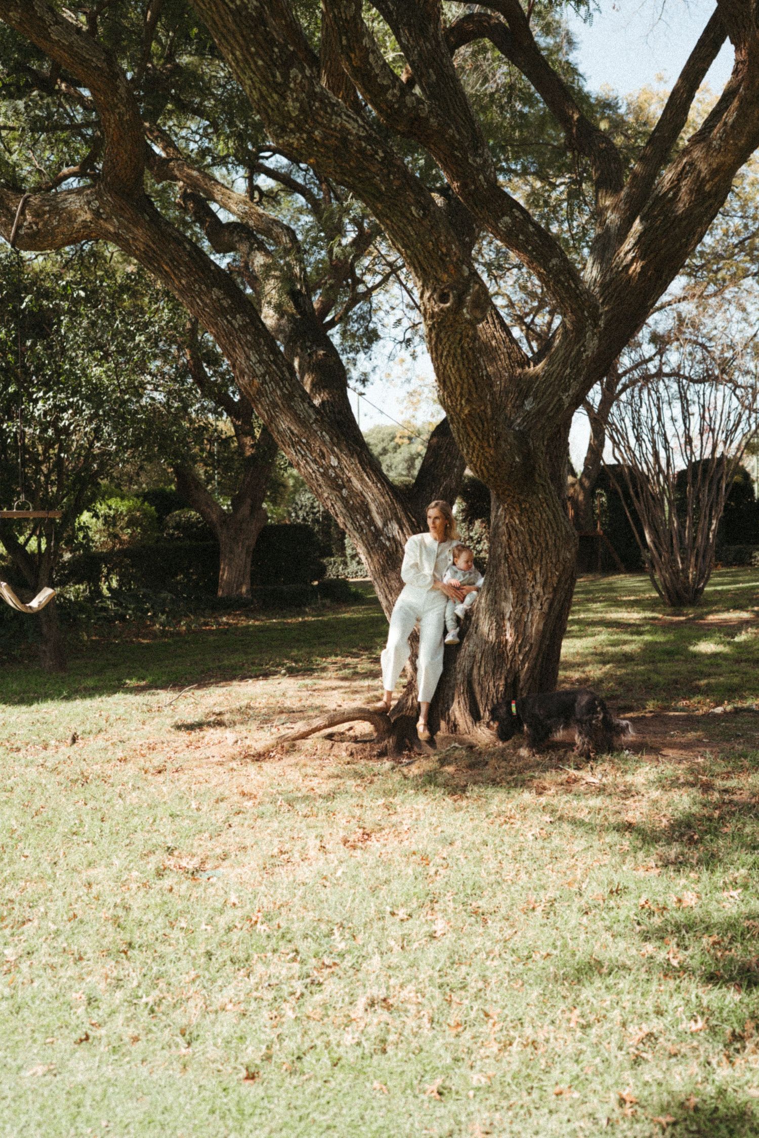 Family enjoying a moment together under massive old trees in a park.
