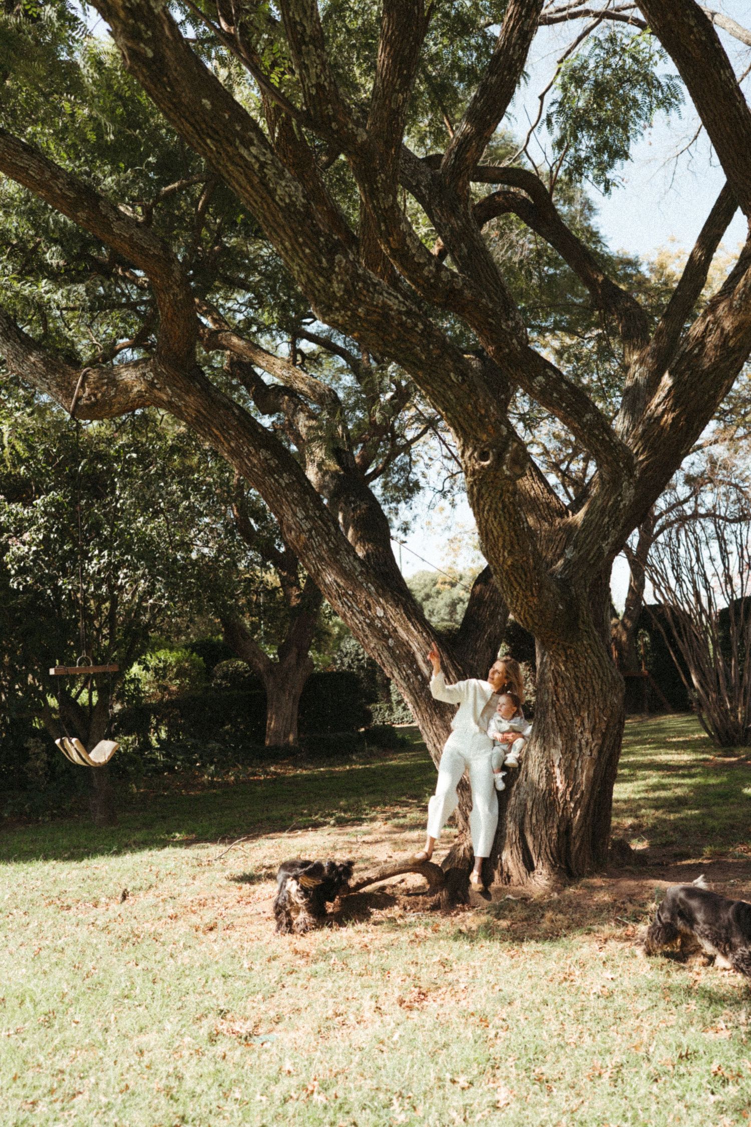 A couple dressed in white poses playfully near large trees in a natural outdoor setting.