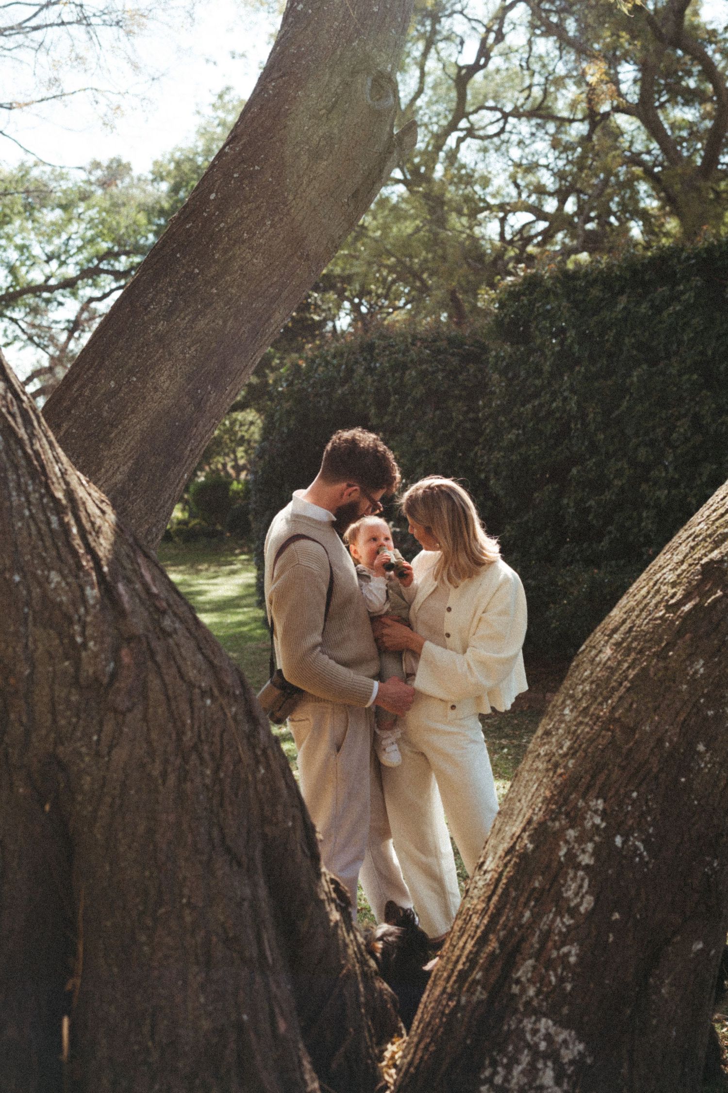 A couple shares a tender moment while standing between large tree trunks in dappled sunlight.