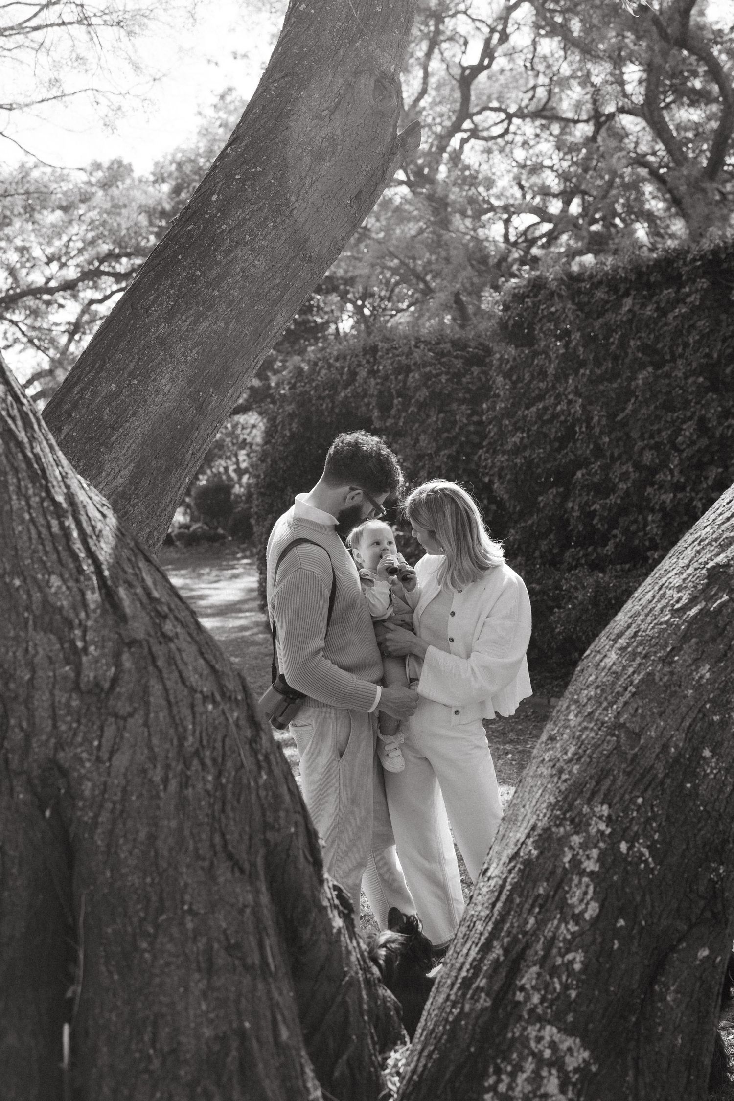 Two people in light-colored clothing embrace near massive tree trunks in a garden setting.