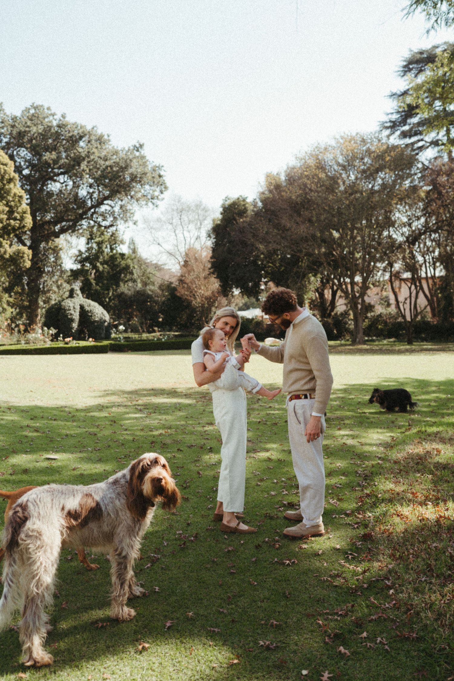 Family enjoying time outdoors with their large fluffy dogs on a grassy hill.