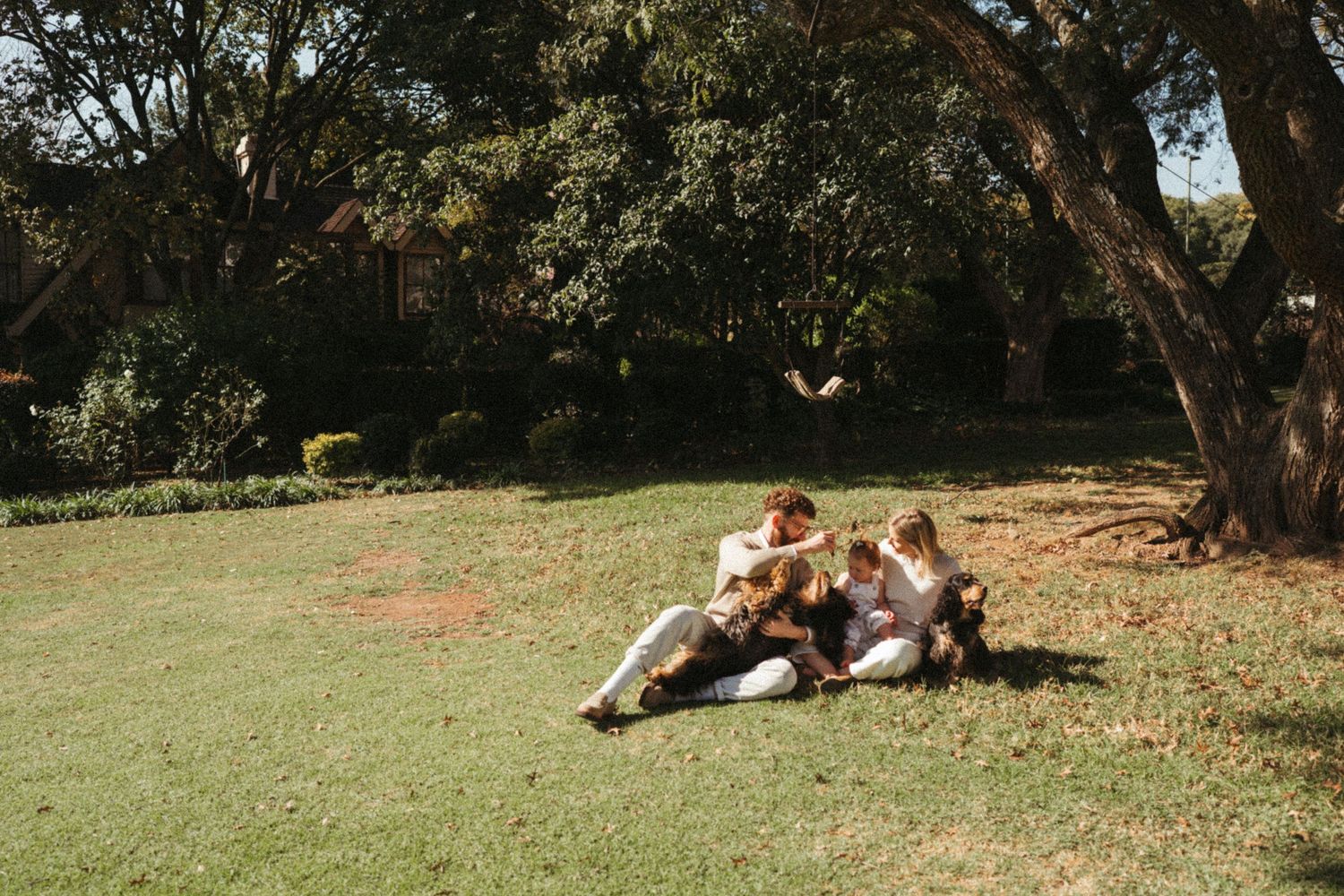 Peaceful scene of people relaxing on grass under trees in a park setting.
