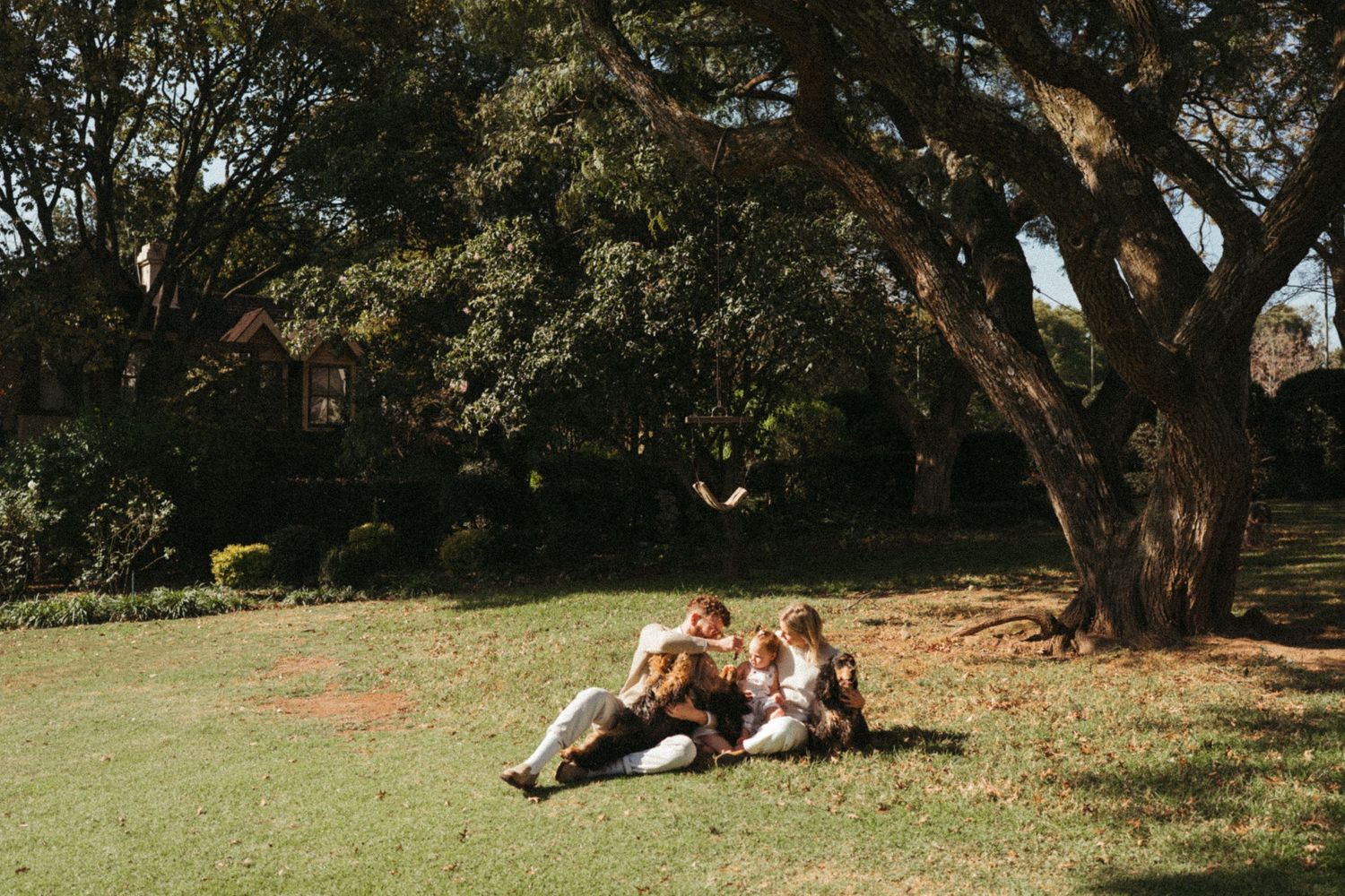 Playful outdoor family photoshoot under trees in a park setting during golden hour.