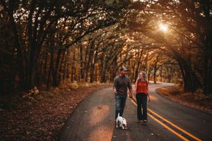 Couple walking a white dog down a tree-lined road bathed in warm golden autumn sunset light.
