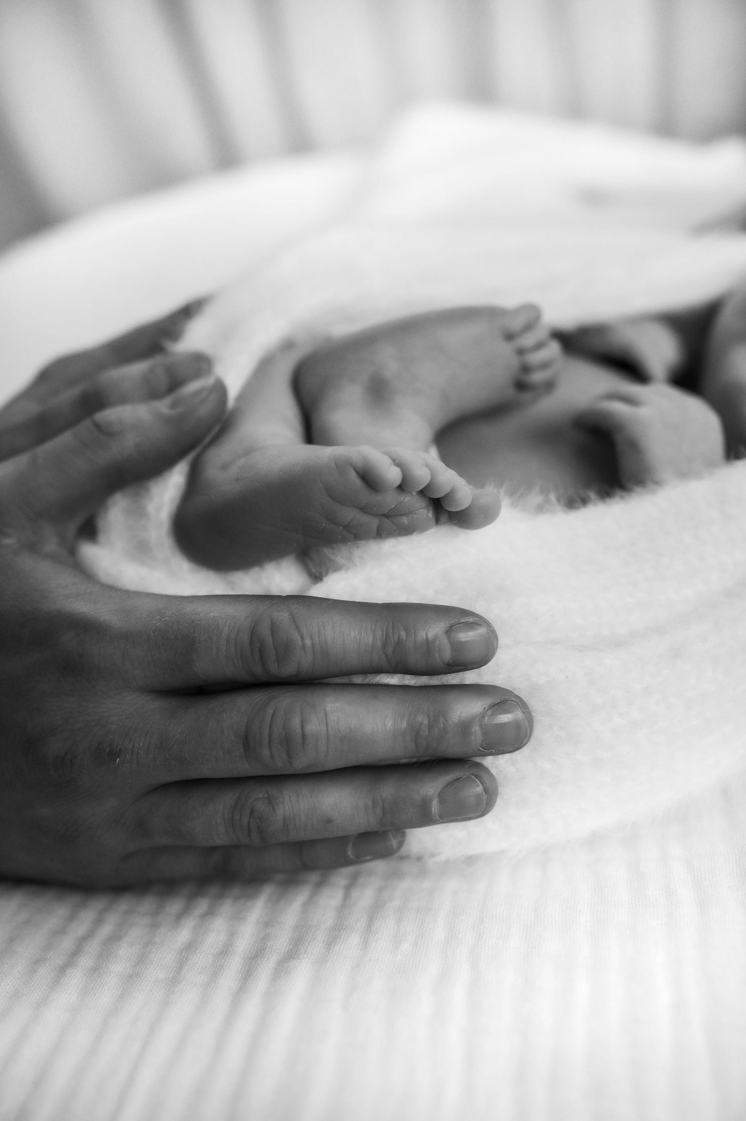 Close up black and white image of newborn baby feet delicately held in their father's hands