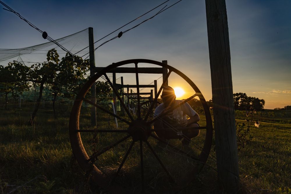 Silhouette of an old wagon wheel at sunset with power lines in the background.
