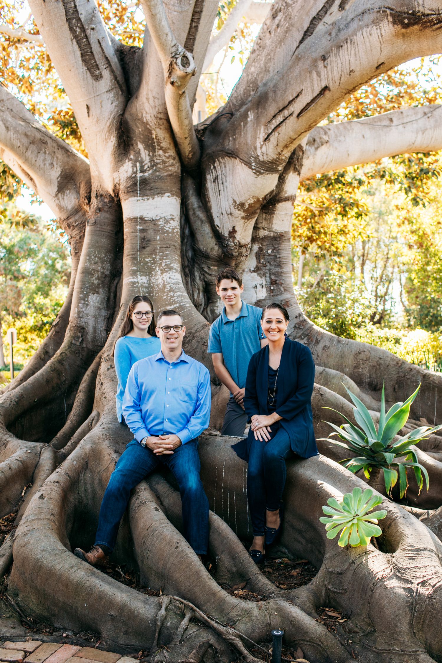 A group poses among the massive roots of an old fig tree in a park setting.