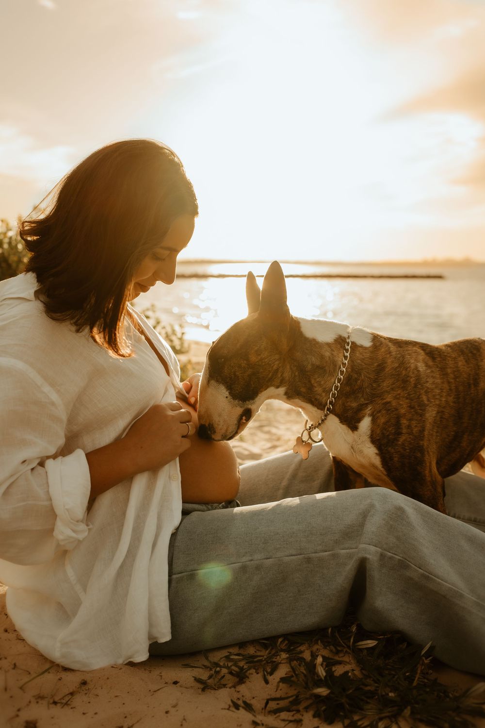 Woman in white shirt sitting on beach with brindle Bull Terrier dog at golden sunset by the water.