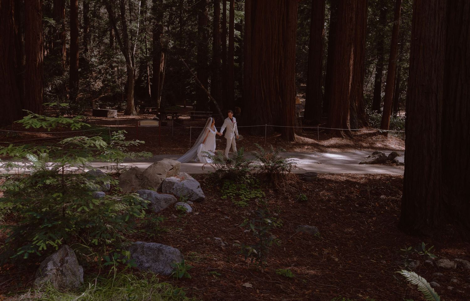 elope in the red woods