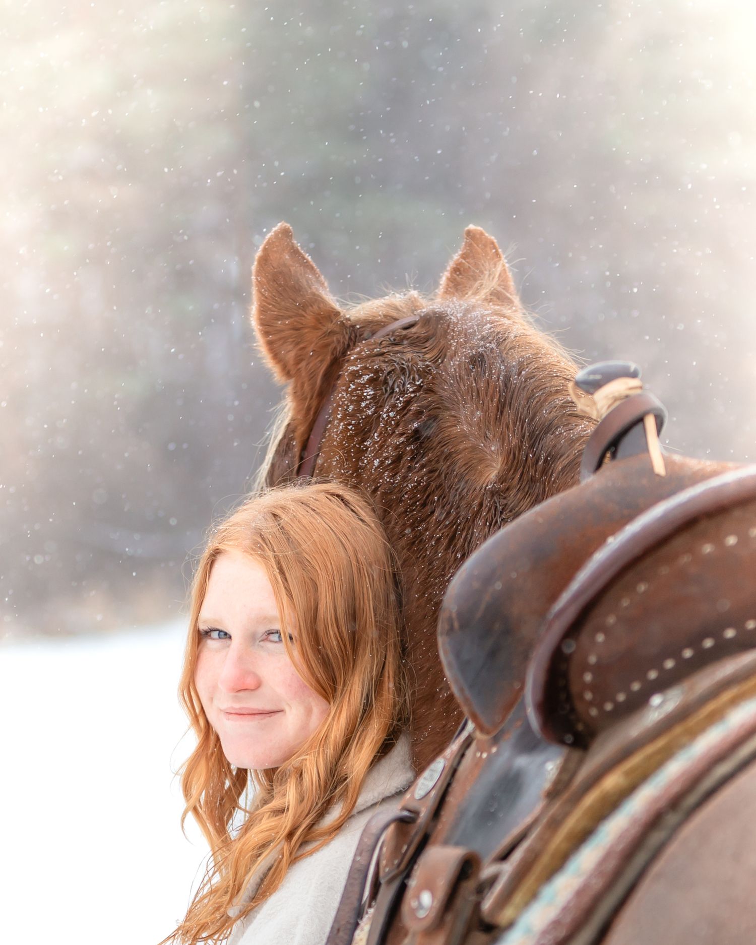 port perry equine photographer, port perry farm photographer