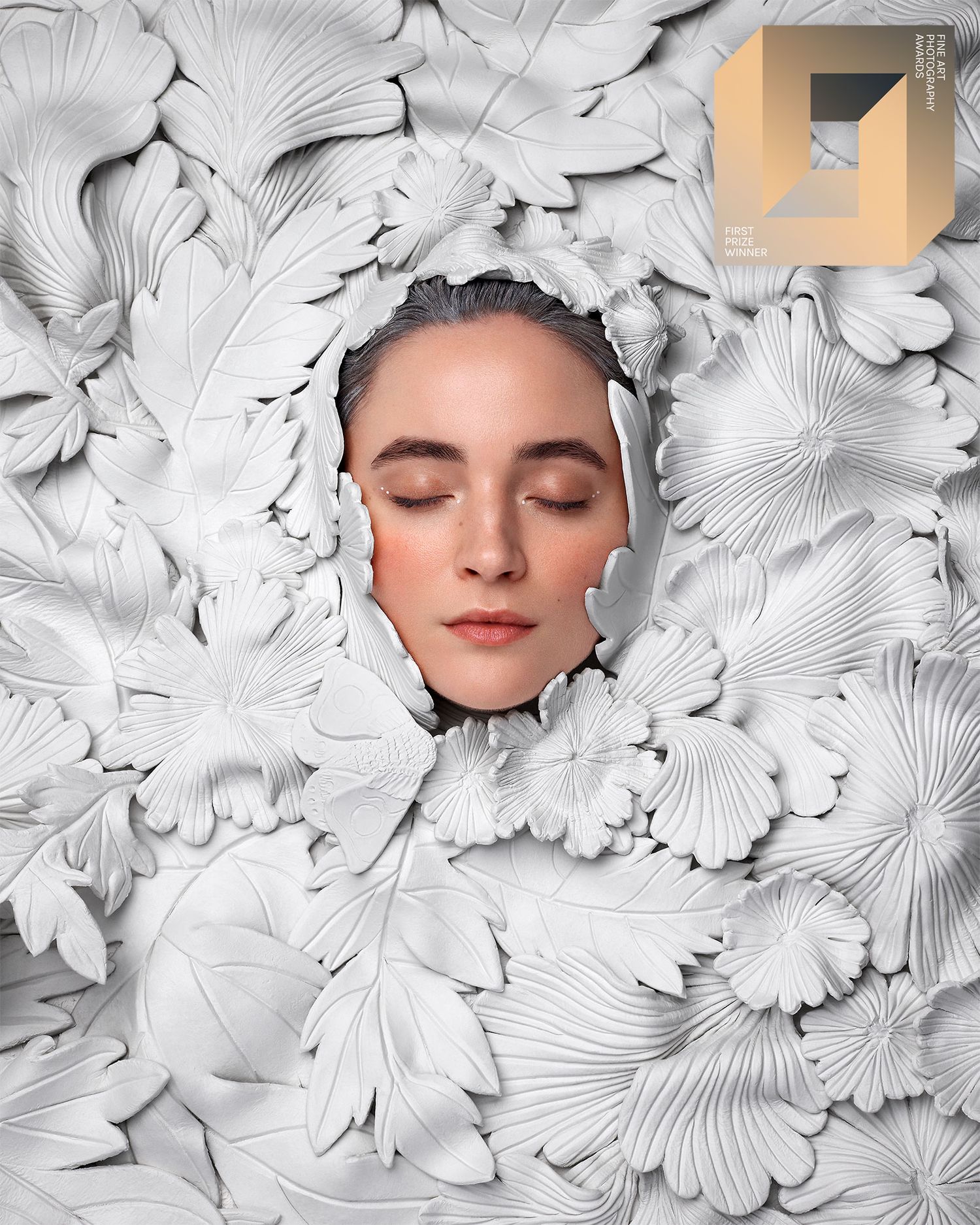 Leigh Schneider Beautiful Bizarre Art Prize Finalist