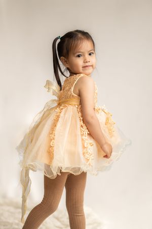 Toddler wearing princess dress posing in studio in Saratoga Springs.