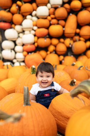 Toddler sitting amongst pumpkins at Kuwahara's pumpkin patch.
