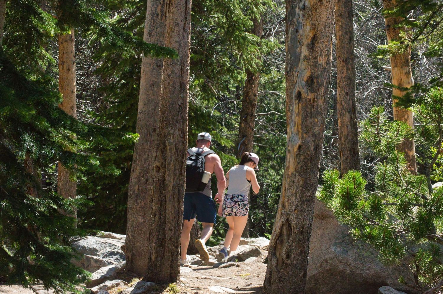 Couple secretly photographed on their hike up to Emerald Lake, in The Rocky Mountain National Park, where he proposes to her. Pixcapades