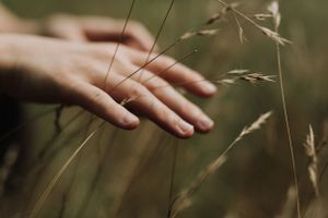Film still of woman touching grass. Photo by Samantha Bateman.