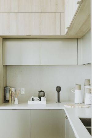 Tridel Homes kitchen. Photo by Samantha Bateman.