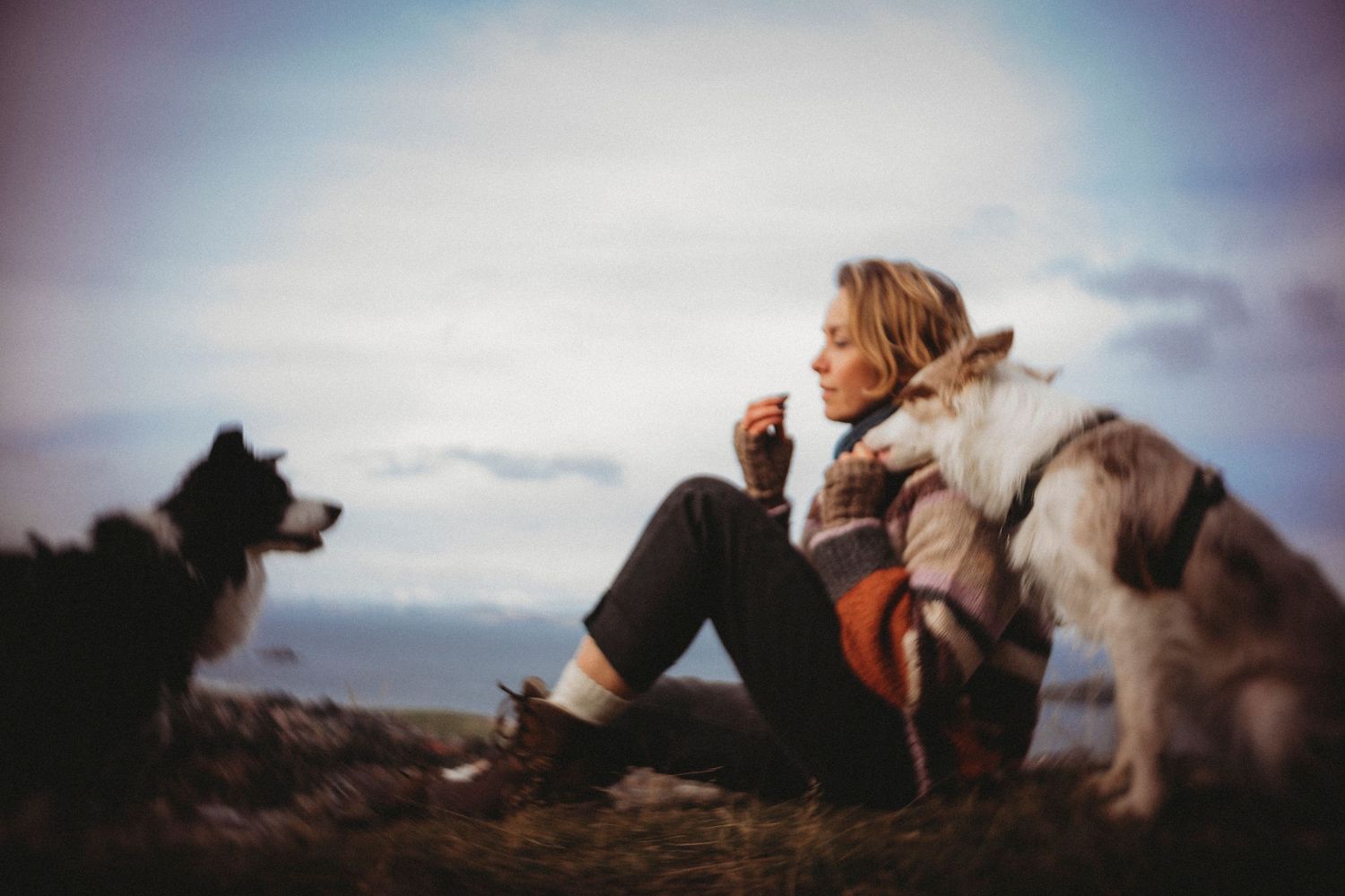 A family enjoys a playful moment on a beach with mountains in the background and their dog nearby.