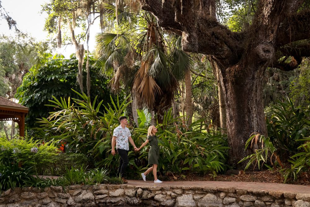 A romantic proposal moment under grand oak trees draped with Spanish moss.