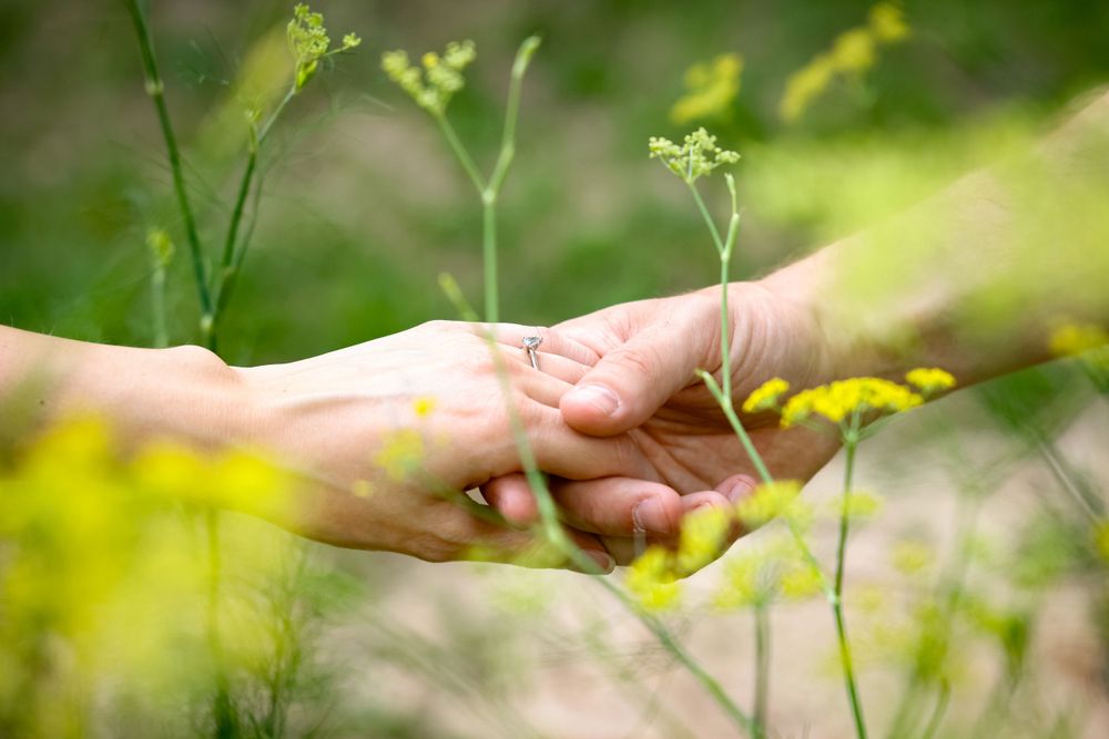 Two hands gently touch while reaching for delicate wildflowers in a sunny meadow.