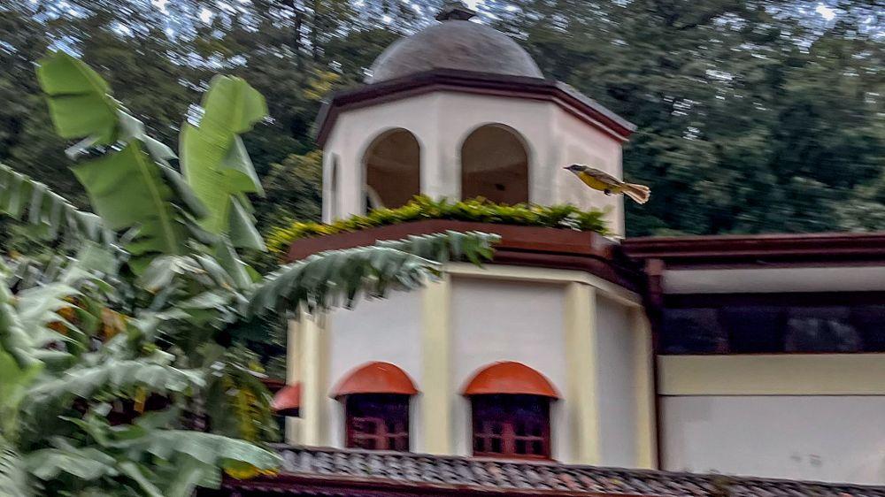 A white tower with round windows and red accents nestled among lush tropical foliage.