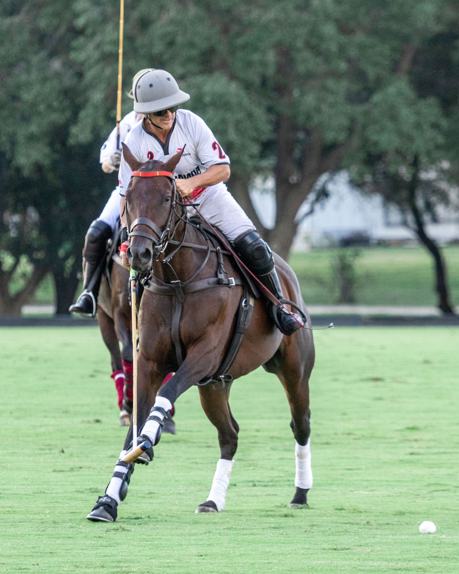 Polo