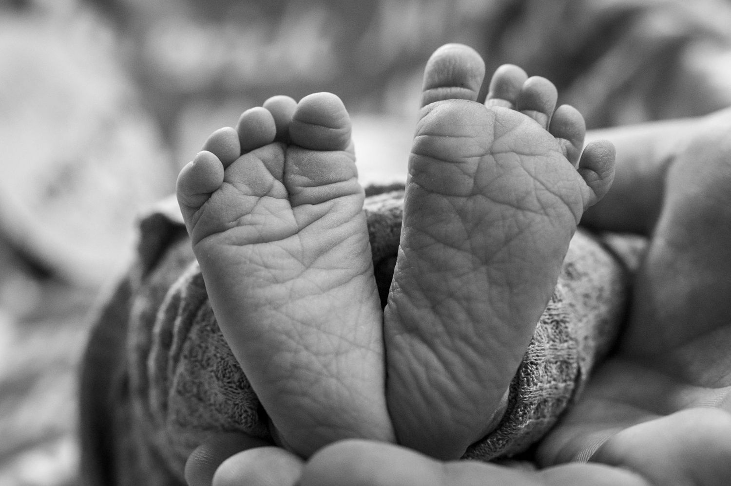 Close-up series of tiny newborn baby feet showing wrinkled skin and delicate toes.