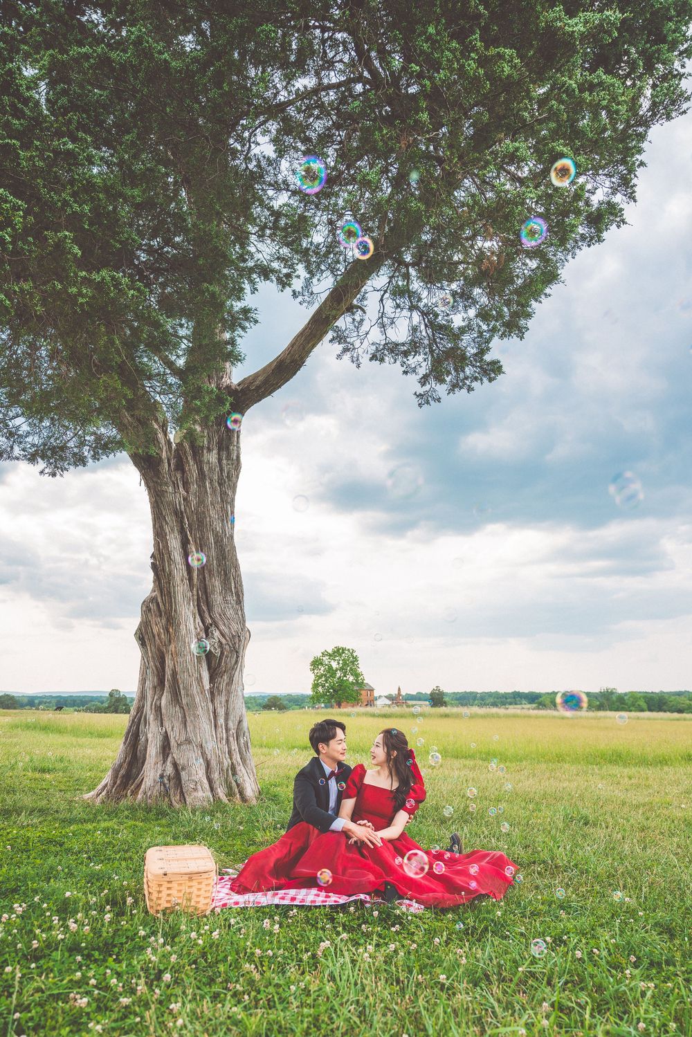 Couple having a romantic picnic under a large tree in a scenic meadow with a wicker basket.