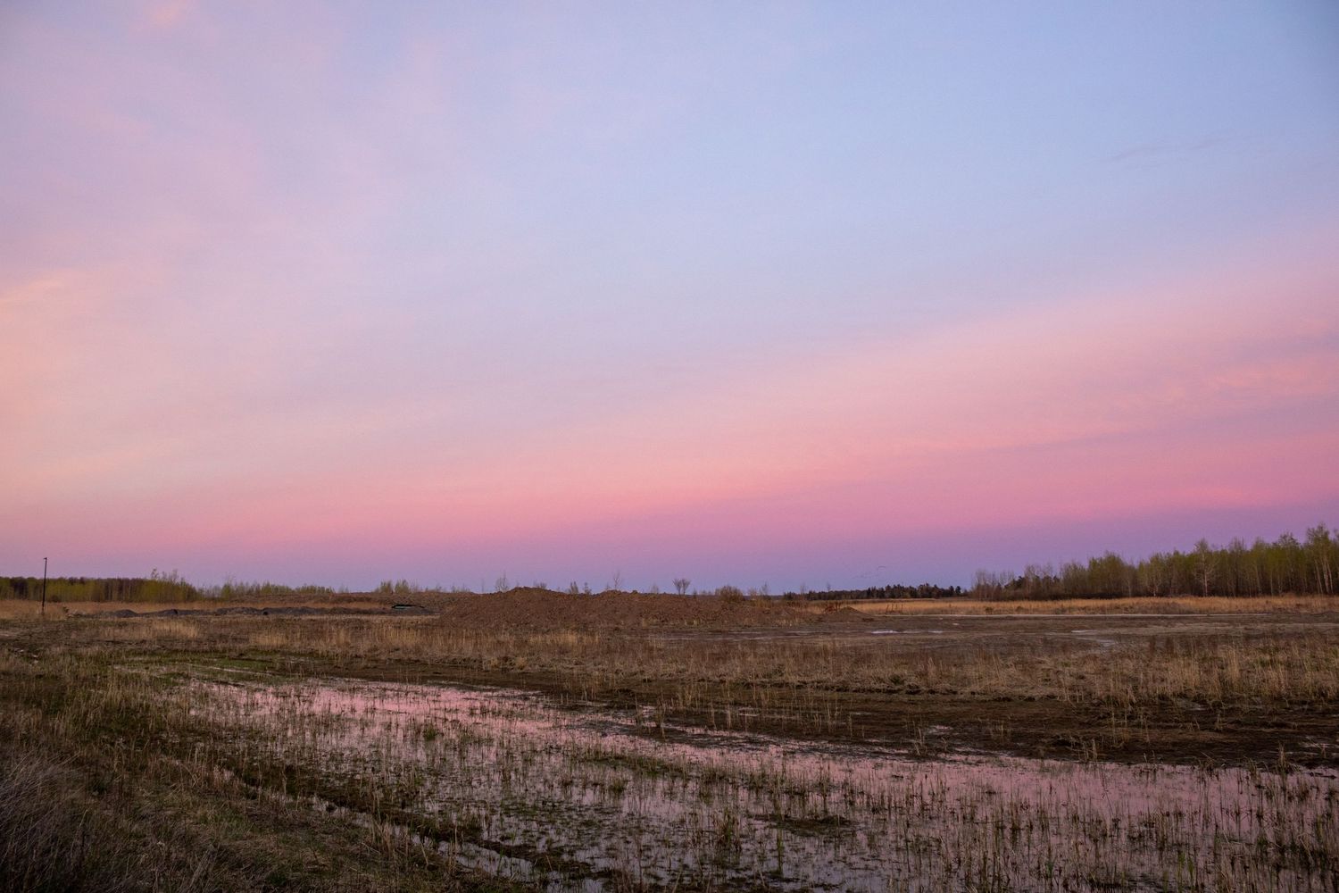 Beautiful pink and purple sunset over a flooded agricultural field in rural landscape.
