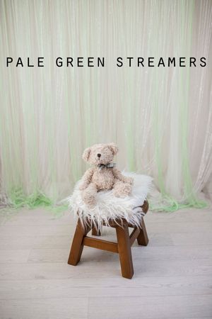 pale green mint  cake smash set up by little wonderland photography widnes cheshire