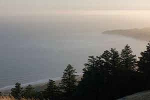 Misty coastal view from a hilltop overlook with evergreen trees silhouetted against the ocean at dusk.