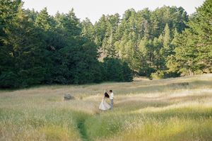 Two people walk through a sun-dappled meadow surrounded by towering pine trees on a warm summer afternoon.