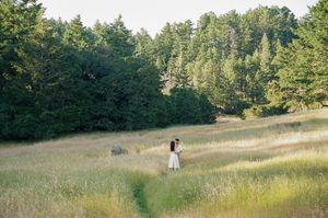 A lone figure in a white dress stands in a golden meadow surrounded by evergreen trees.