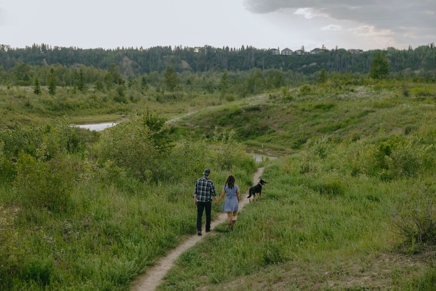 Group of people walking together through a lush green meadow landscape with trees in the background.