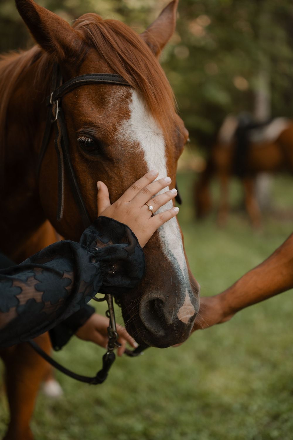 engagement photoshoot with horses in Conway, SC