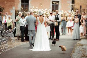Photographe de famille avec animaux de compagnie en Belgique. Photographe communion et petits évènements. Mariages civils. Photographe belge